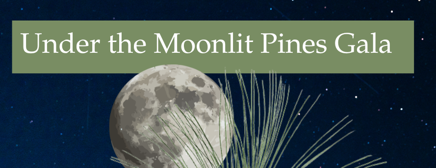 Under the Moonlit Pines Gala